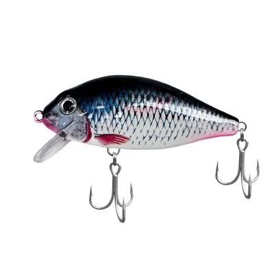 Lixka Minnow f'wiċċ l-ilma